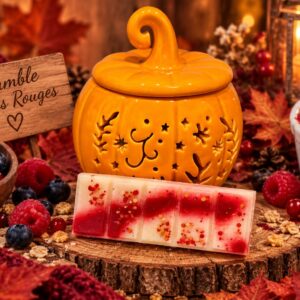 SnapBar CheeseCake Fruits Rouges